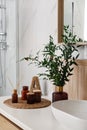 Vase with beautiful branches, candles and air reed freshener near vessel sink in bathroom. Interior design