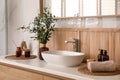 Vase with beautiful branches, candles and air reed freshener near vessel sink in bathroom. Interior design