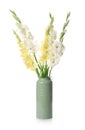 Vase with beautiful gladiolus flowers