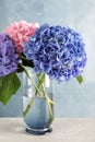 Vase with beautiful hortensia flowers on light table against color background Royalty Free Stock Photo