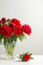 Vase with beautiful peonies on table against light background Royalty Free Stock Photo