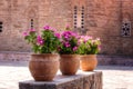 Vase with beautiful pink flowers in the courtyard of monastery Great Meteora, Thessaly, Greece Royalty Free Stock Photo