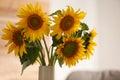 Vase with beautiful yellow sunflowers in room, closeup Royalty Free Stock Photo