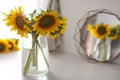 Vase with beautiful yellow sunflowers  on table, space for text Royalty Free Stock Photo