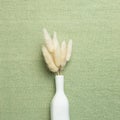 Vase of beige Lagurus ovatus dry grass on green fabric background