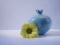 ceramic vase blue color yellow flower chrysanthemum white background close-up Royalty Free Stock Photo