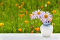 Vase with blue daisy flowers