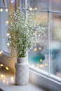 Vase with bouquet of beautiful white gypsophila near window with raindrops in the daylight