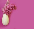 Vase bouquet of lilacs on a colored background congratulation