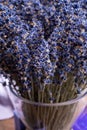 Vase with bunch of purple dried aromatic lavender flowers in gift shop in Provence, France