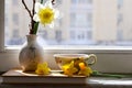 a vase with daffodils , book and a cup of tea are located near the window . Royalty Free Stock Photo