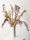 Vase with dried fern leaves Royalty Free Stock Photo