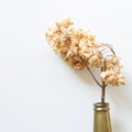 Vase of dry pink hydrangea flower on white background Royalty Free Stock Photo