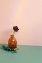 Vase of dry rose flower on green table. pink wall background Royalty Free Stock Photo