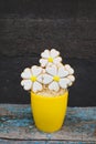 Vase of edible gingerbread cookies flowers outdoors