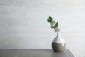 Vase with eucalyptus branch with fresh leave