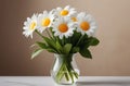 Vase with fantastic daisies Royalty Free Stock Photo