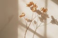 Vase Filled With Flowers on Table