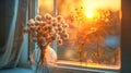 A vase filled with fluffy dried flowers sits on a window sill, illuminated by the sunset Royalty Free Stock Photo