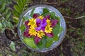 Vase is filled with water and decorated with green leaves and beautiful flowers in tropical garden. Ubud, island Bali, Indonesia Royalty Free Stock Photo