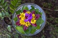 Vase is filled with water and decorated with green leaves and beautiful flowers in tropical garden. Ubud, island Bali, Indonesia Royalty Free Stock Photo