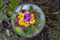 Vase is filled with water and decorated with green leaves and beautiful flowers in tropical garden. Ubud, island Bali, Indonesia Royalty Free Stock Photo