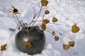 Vase With Flowers Royalty Free Stock Photo