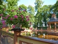 Vase with flowers next to Menagerie Pond Bosquet in Saint Petersburg, Russia