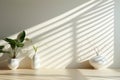 Vase with flowers and pots with indoor plants are white. against the background of a light wall with striped shadows