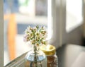 Vase of flowers on a table at a restaurant next to windows, Copy space Royalty Free Stock Photo