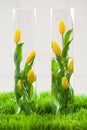 Vase of flowers with tulips, floristics decoration Royalty Free Stock Photo