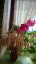 flowers on the window. rustic motifs. Vase of freshly cut flowers Royalty Free Stock Photo