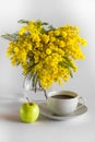 Vase of glass with branches of a mimosa, cup po coffee and apple on a white background