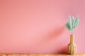 Vase of green hares tail grass Lagurus ovatus dry flowers on wooden table Royalty Free Stock Photo