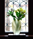 Vase with iris flowers in front of window Royalty Free Stock Photo