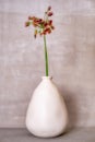 White vase with kalnchoe silver wall