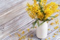 Vase with mimosa. Bunch of yellow fluffy flowers acacia in white ceramic vase is rustic still life. Selective focus Royalty Free Stock Photo