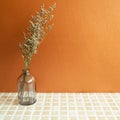 Vase of misty blue dry flowers on beige ceramic mosaic tile table. Orange background Royalty Free Stock Photo