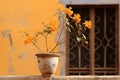 a vase with orange flowers sitting on a ledge Royalty Free Stock Photo