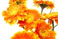 Vase of orange flowers Royalty Free Stock Photo