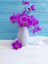 Vase orchid flower on wooden floristic background elegance congratulation, blue, fresh, spring