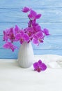 Vase orchid flower on wooden floristic design background elegance congratulation, blue, fresh, spring