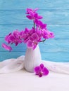 Vase orchid flower on wooden floristic design elegance congratulation, blue, fresh, spring