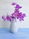 Vase orchid on a wooden background decor blossom arrangement