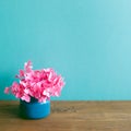Vase of pink hydrangea flowers on wooden table. mint blue wall background Royalty Free Stock Photo