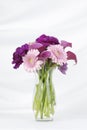 Vase of pink and purple flowers isolated on a white background Royalty Free Stock Photo