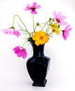 Vase of Purple and Orange Wild Flowers Royalty Free Stock Photo