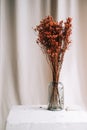 Vase with red dried flowers on a white table on satin fabric background Royalty Free Stock Photo