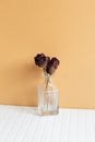Vase of red dry rose flowers on white table. orange wall background. copy space Royalty Free Stock Photo