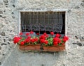 Vase of red geraniums on the balcony of a stone house